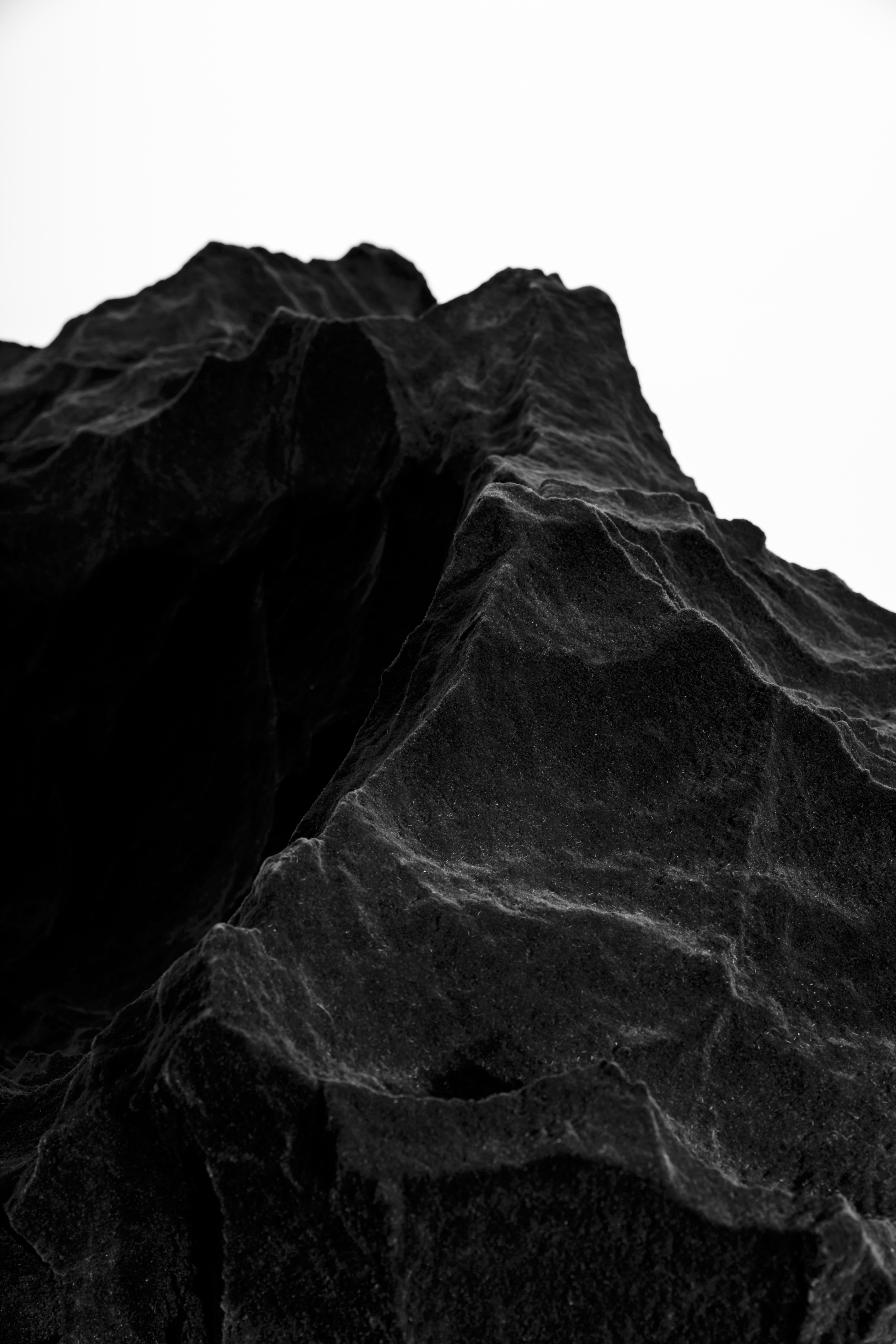 Fredrikson Stallard - Species 2 - 2016
