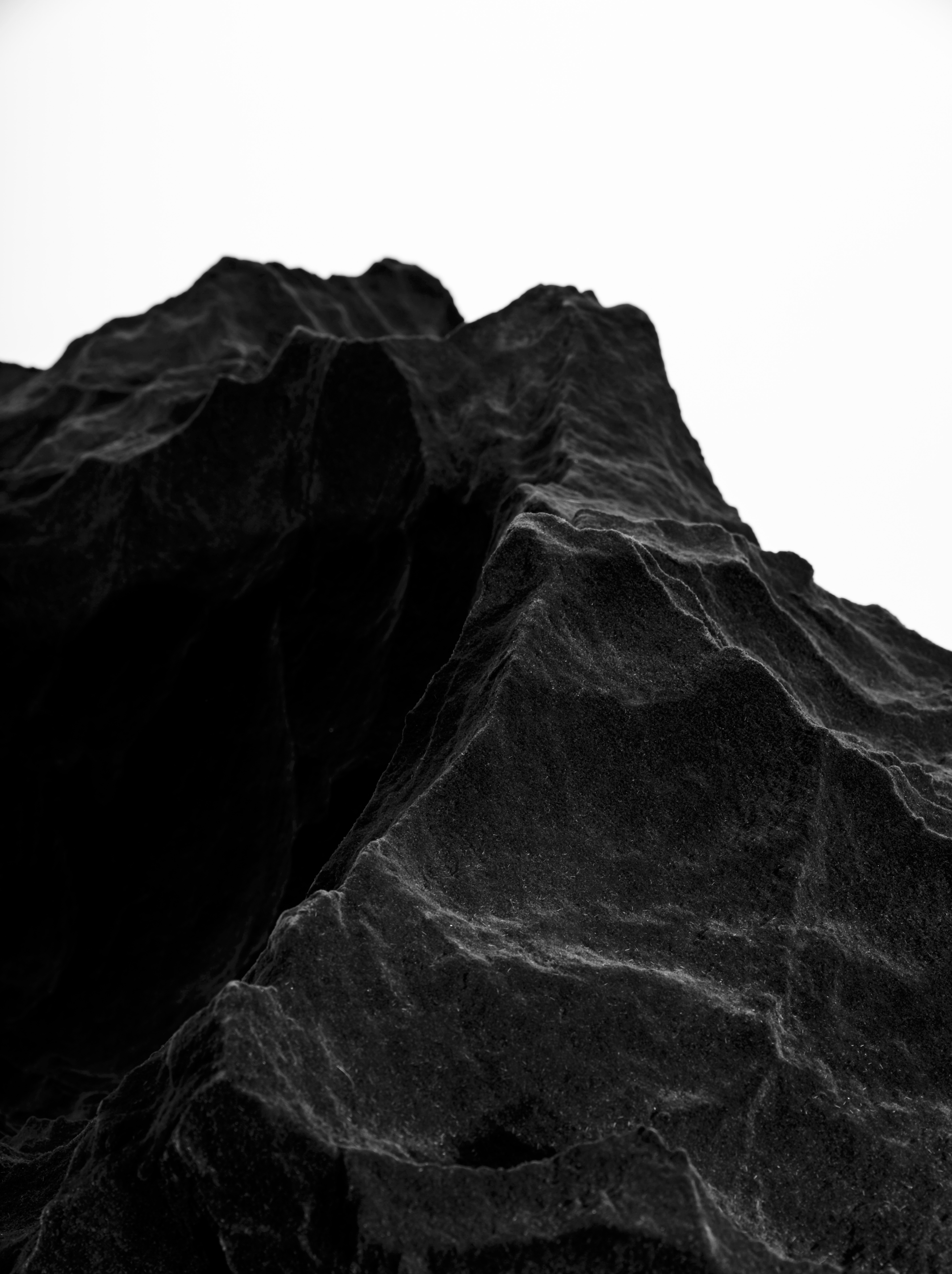 Fredrikson Stallard - Species 2 - 2016