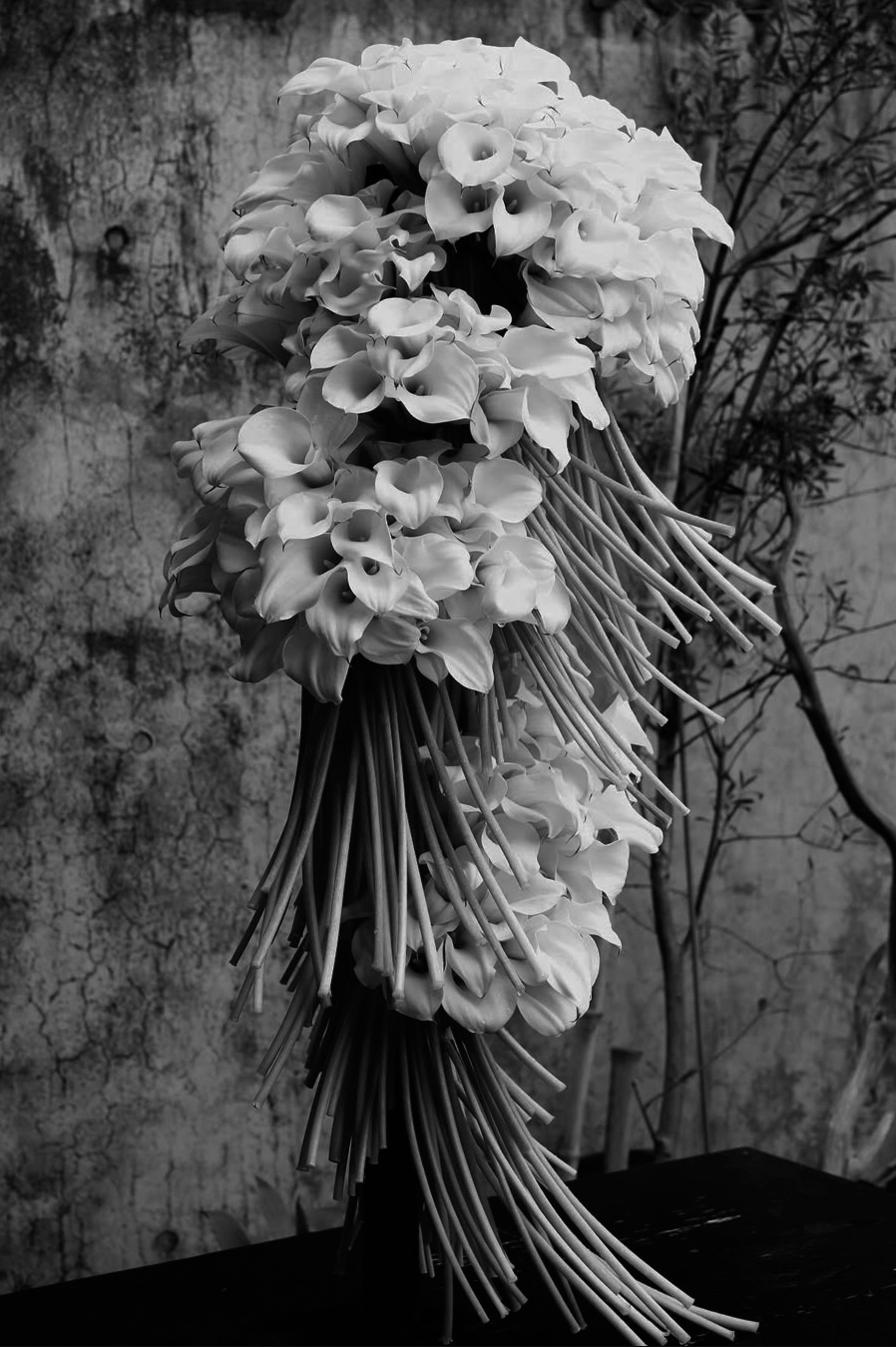 Cascading white floral installation photographed against dark bare branches in black and white