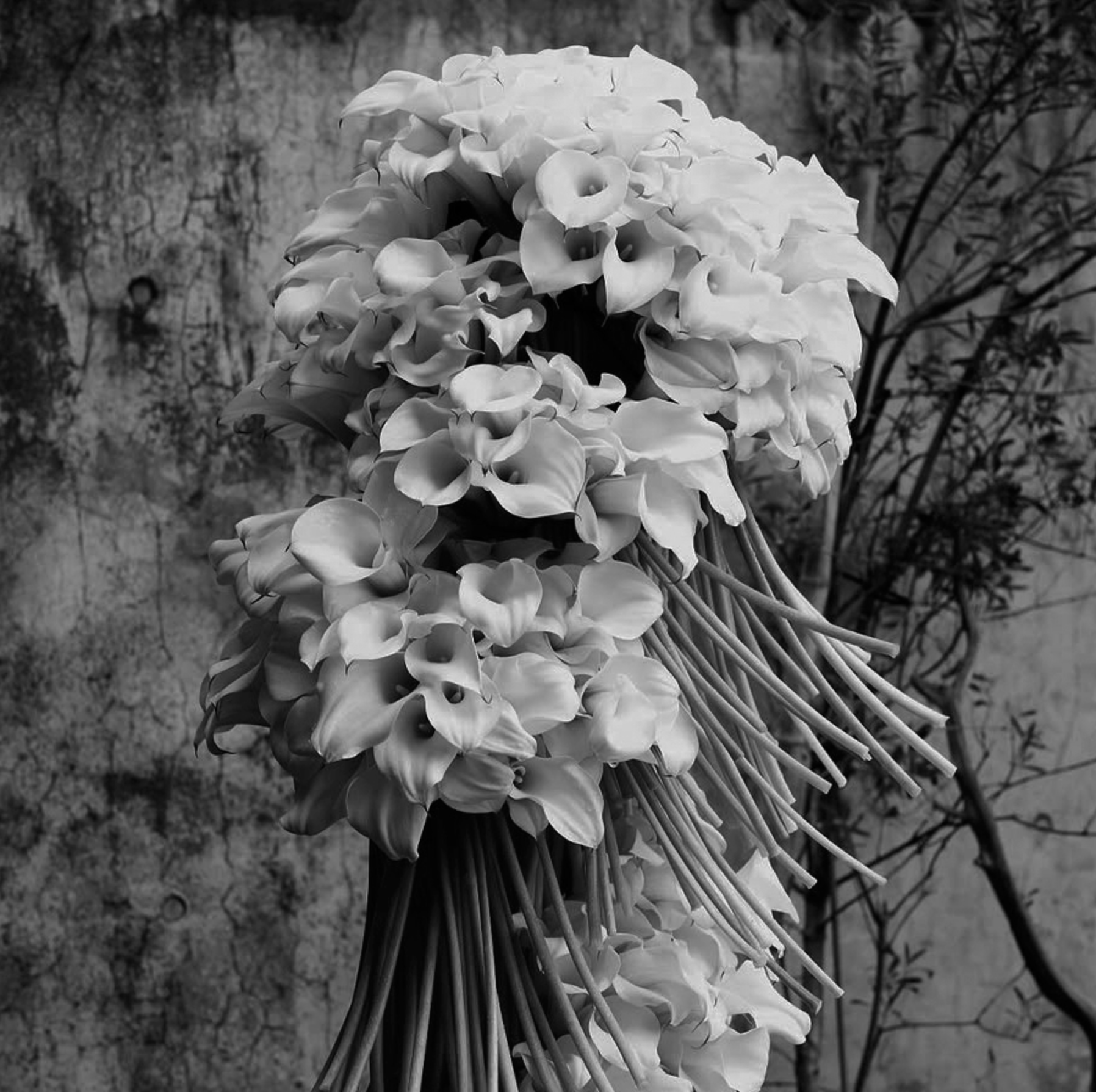 Cascading white floral installation photographed against dark bare branches in black and white