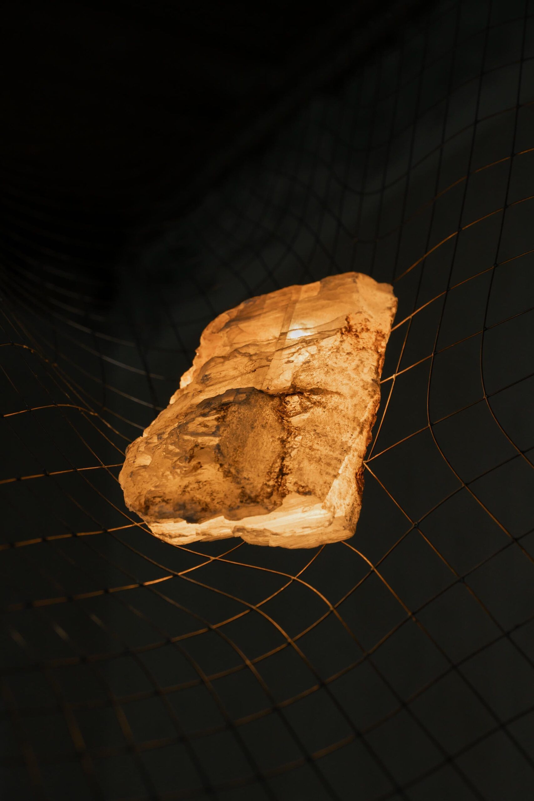 THE FREEMAN JOURNAL - FUTURE HEIRLOOMS