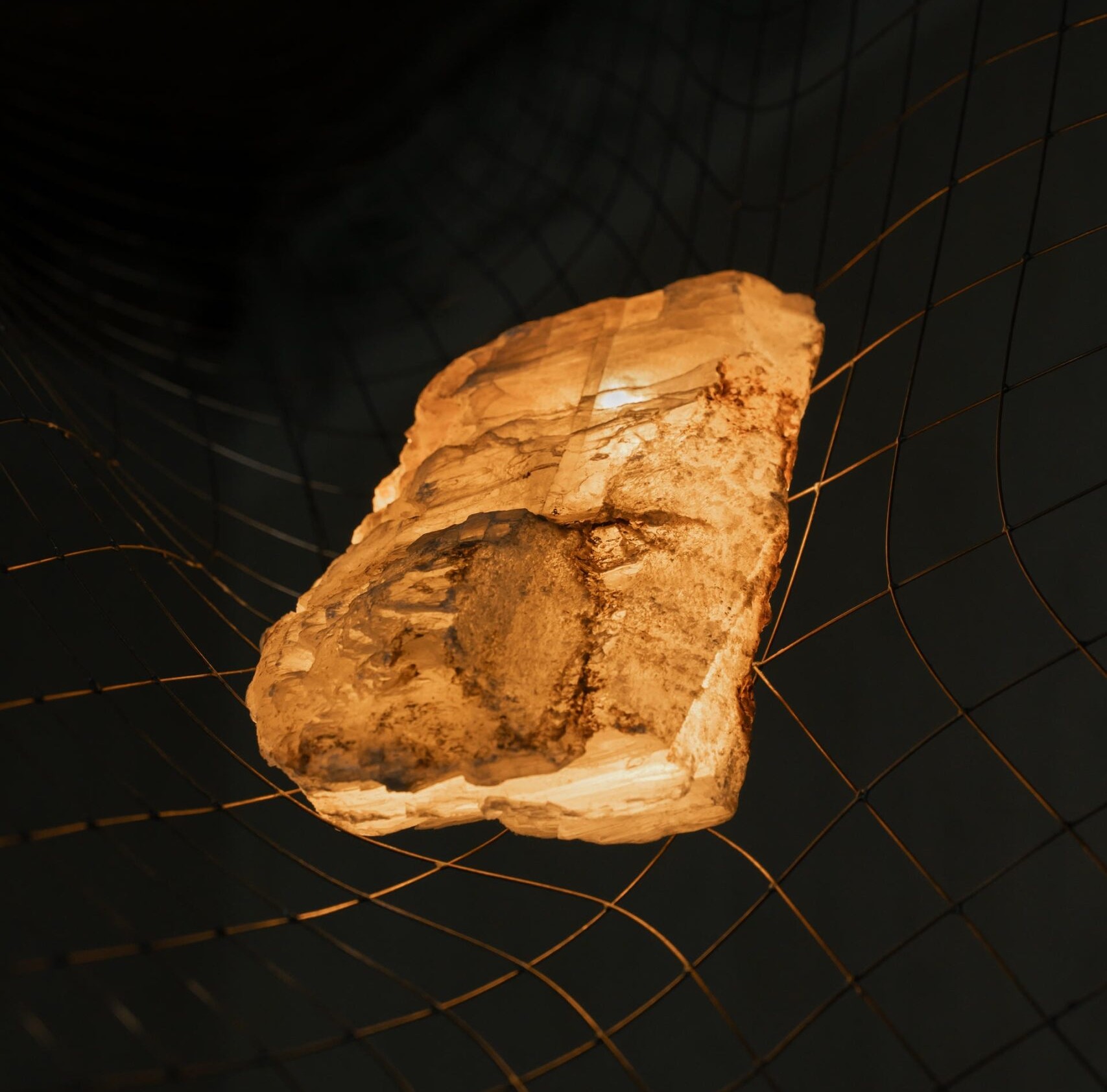 THE FREEMAN JOURNAL - FUTURE HEIRLOOMS