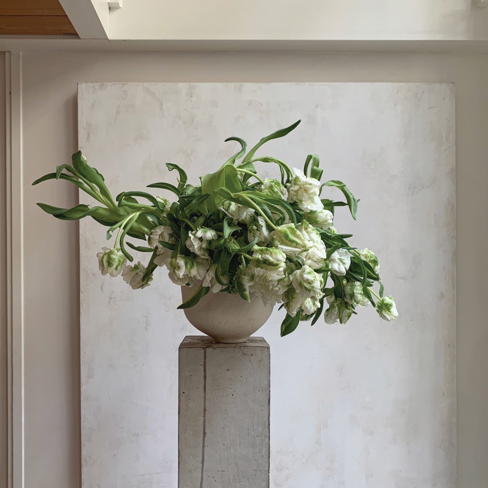 Green parrot tulips spilling from a stone urn on a plinth against a textured wall