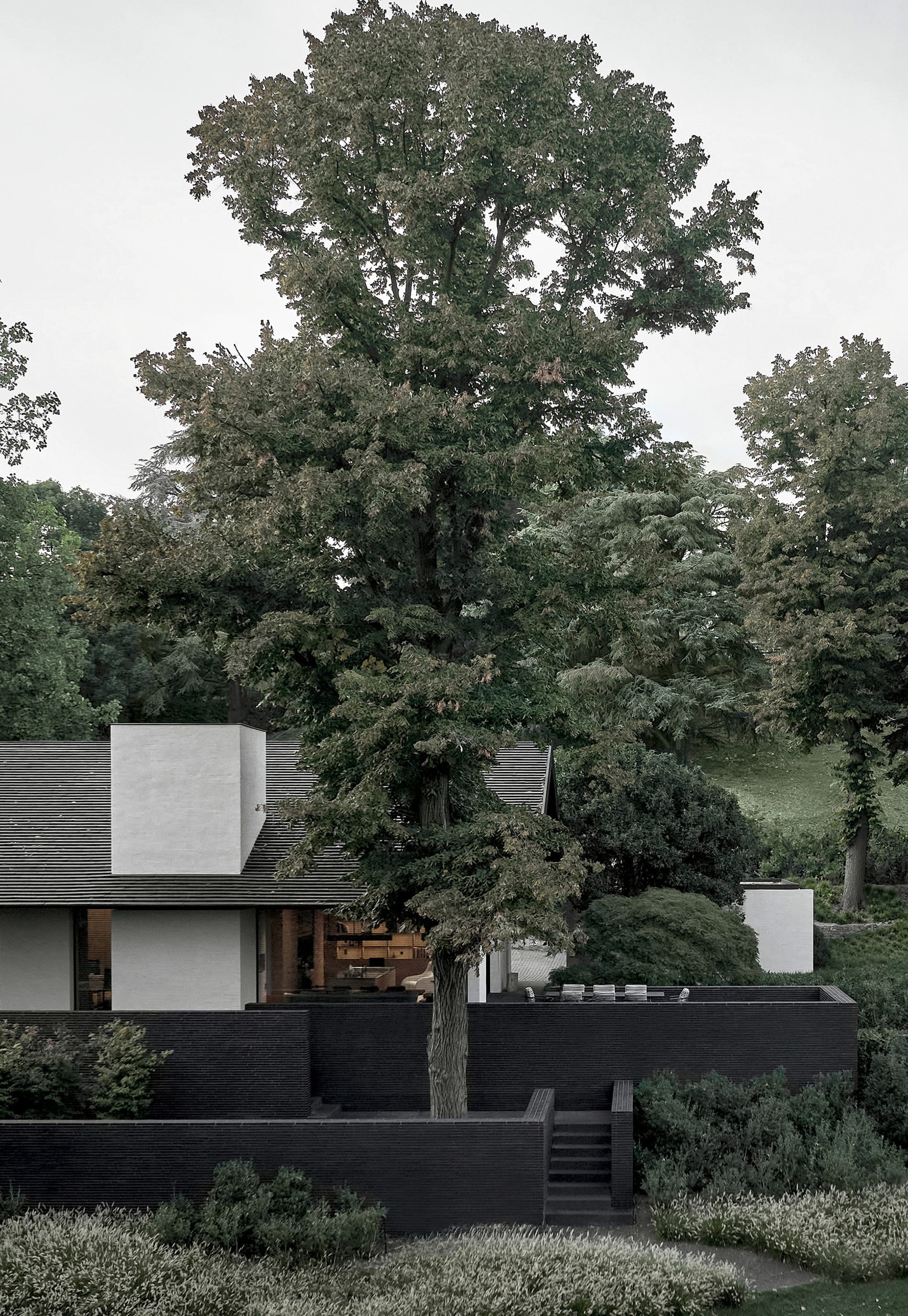 Contemporary residence sheltered behind a stone wall by a towering mature tree, Caribbean estate